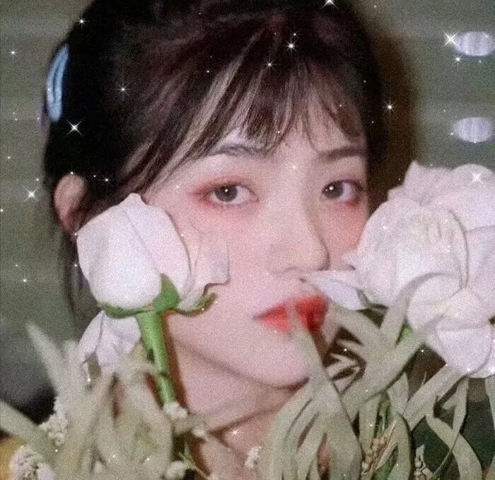 歌舞春光